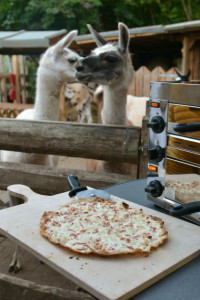 flammkuchen.jpg