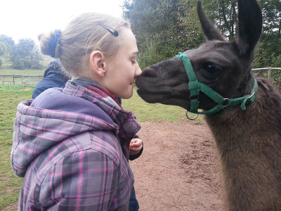 lama_fuettern.jpg