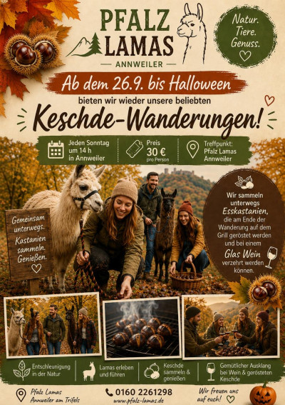 keschde-tour.jpg